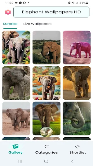 Elephant Wallpapers HD Screenshot 0