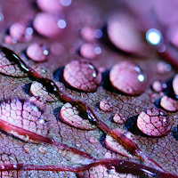 Water Wallpapers