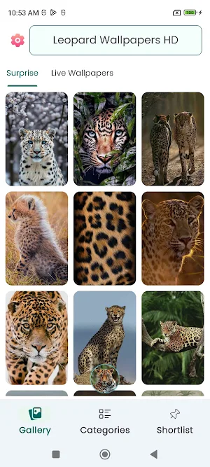 Leopard Wallpapers HD Screenshot 0