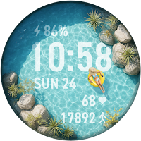 Pocket Resort Watch Face