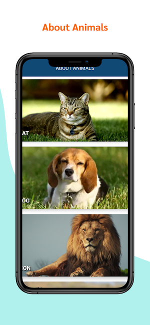 About Animals Screenshot 0