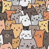 Wallcat: Cute Cat Wallpaper 4K