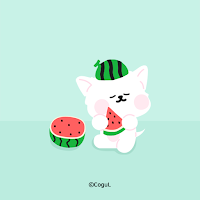 카카오톡 테마 - 달콩_여름 수박 민트