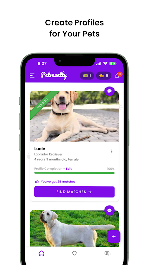 Petmeetly - Pet's Match Finder Screenshot 0