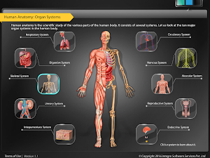 HumanAnatomy-SkeletalSystem Screenshot 0