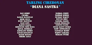 Diana Sastra Mp3 Offline Screenshot 0
