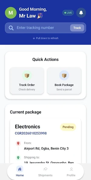 Cargorun 9ja Screenshot 1