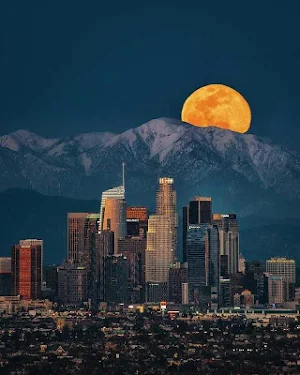 Los Angeles Wallpaper HD Screenshot 3