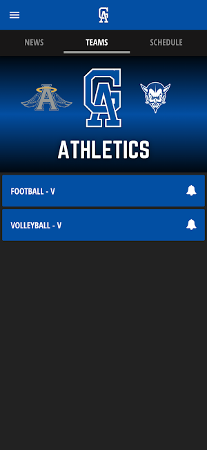 Gallia Academy Athletics Screenshot 3