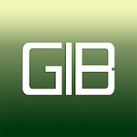 GIB - Gulf Insurance & Reinsur