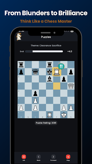 Chess Puzzles: TacticMax Screenshot 1