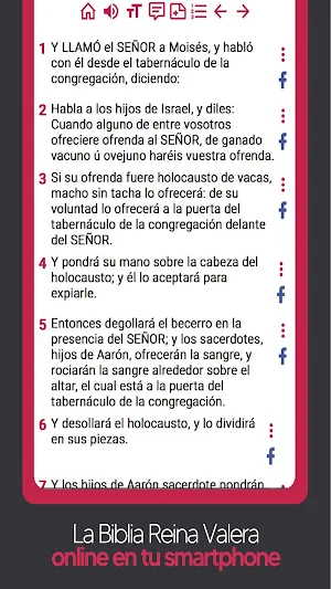 Biblia Reina Valera en español Screenshot 3