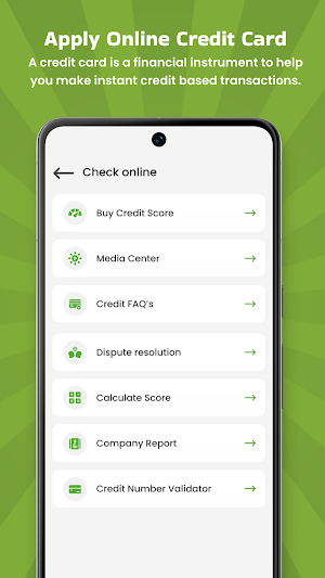 Online Credit Card Checker Screenshot 1