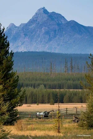 Montana Wallpaper HD Screenshot 3