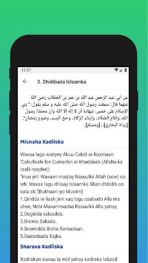 Arbaciin Af-Soomaali Screenshot 3