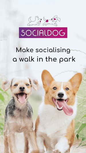 Socialdog Screenshot 2