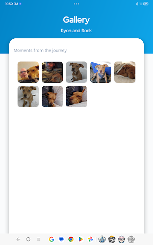 Digital Panhandling Screenshot 2