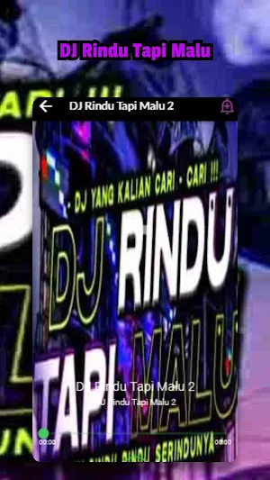 DJ Rindu Tapi Malu Screenshot 3
