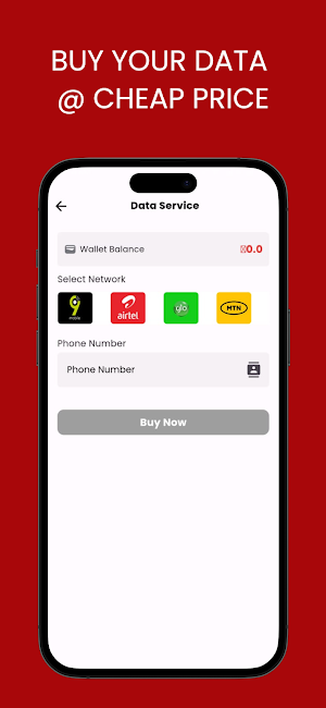 BNKDATA Screenshot 2
