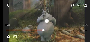 MediaData Player Screenshot 0