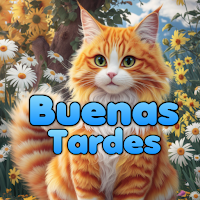 Saludos de buenas tardes