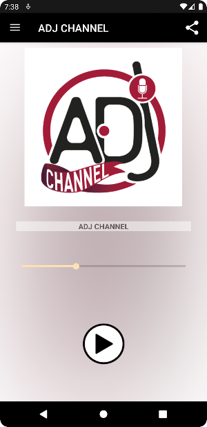 ADJ CHANNEL Screenshot 0