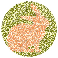 Quiz  Guess on Color
