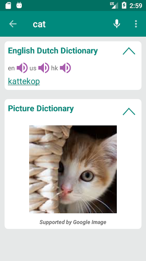 Dutch English Dictionary Screenshot 1