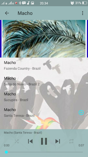 Canto Codorna do Nordeste Bom Muito Legal Screenshot 2
