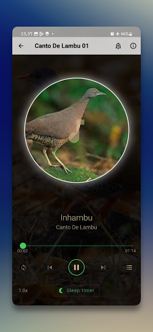 Canto De Lambu Completos Screenshot 2