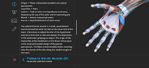 Visual Anatomy 3D - Human body screenshot 3