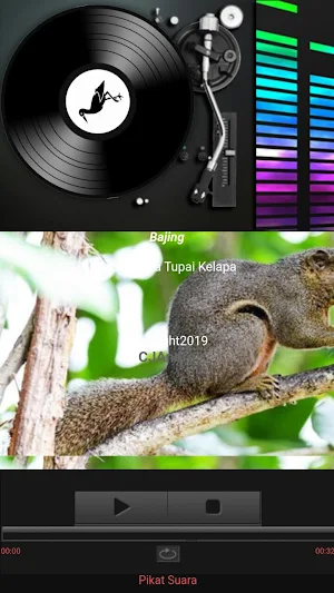 Suara Pikat Burung dan Hewan Lengkap untuk berburu Screenshot 3