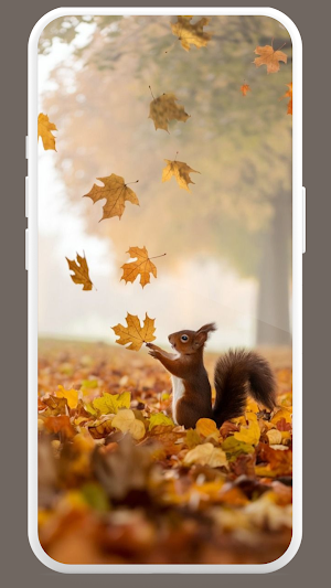Cute Squirrel Wallpaper HD Screenshot 1