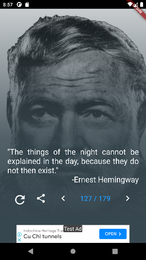 Ernest Hemingway Quotes Screenshot 1
