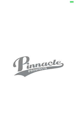 Pinnacle Prospects Screenshot 0
