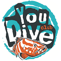 You DIVE