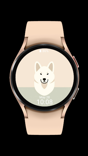 jindo cute_dog_002 Screenshot 0
