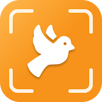 Bird Identifier