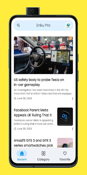 Enku Pro Screenshot 0