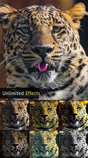 HD Photo Editor Screenshot 0