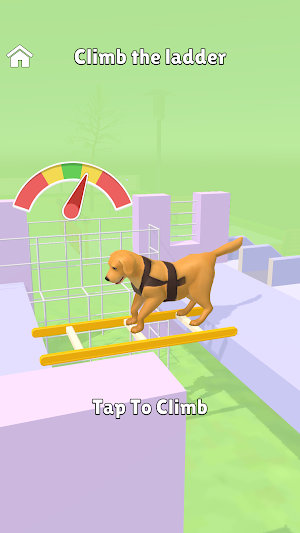 Hyper Dog Training Screenshot 0