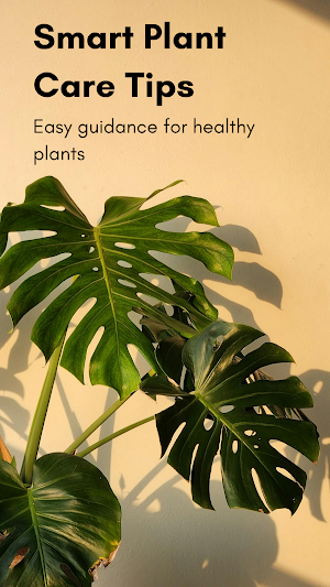 Plant Identifier & Plant Care Screenshot 3