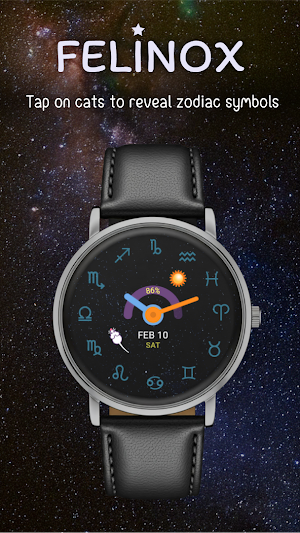 Felinox Watch Face Screenshot 2