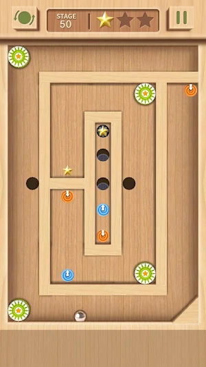 Maze Rolling Ball 3D Screenshot 3