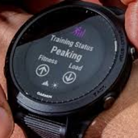 Garmin Forerunner 955 guide