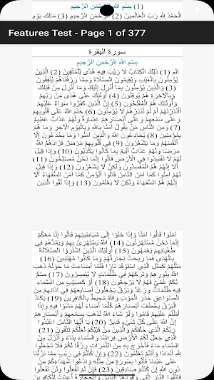 Holy Quran-word zoom Screenshot 2