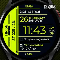 Chester Info Edge watch faces