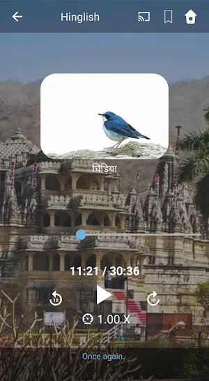 Learn Hinglish. Speak Hinglish Screenshot 2
