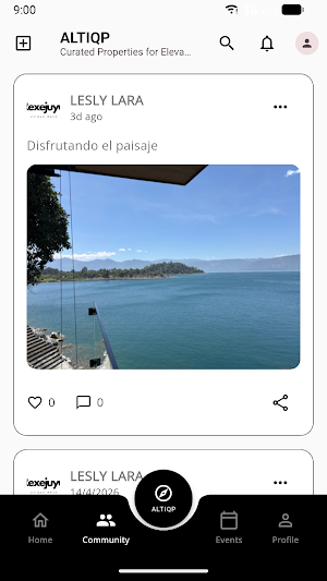 AltiqPro Screenshot 3