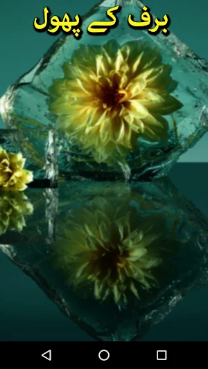 Baraf Ky Phool by Nasir Hussain Urdu Novel Offline Screenshot 0